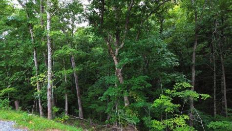 Lot 6 Allaire Lane Mineral Bluff GA 30559