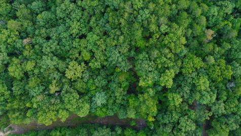 Lot 6 Allaire Lane Mineral Bluff GA 30559