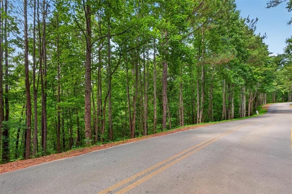 0 Ginger Drive Jasper GA 30143