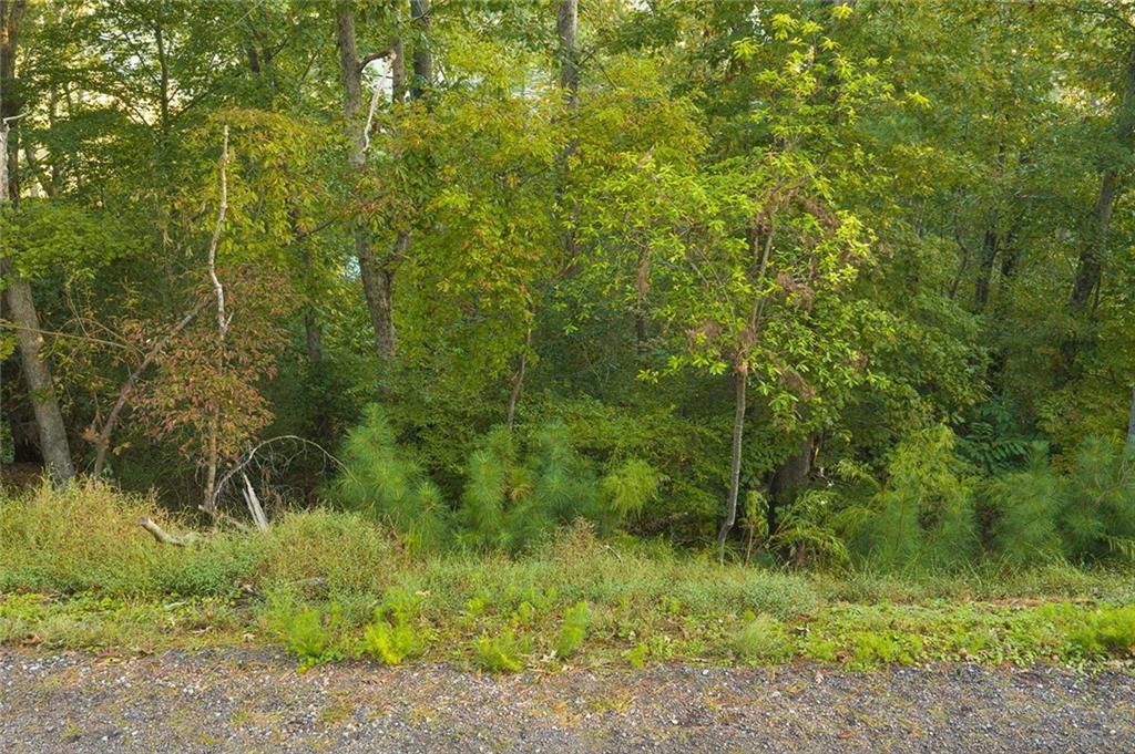 0 Matrix Circle Ellijay GA 30540