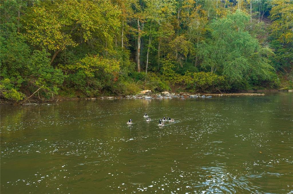 0 Matrix Circle Ellijay GA 30540