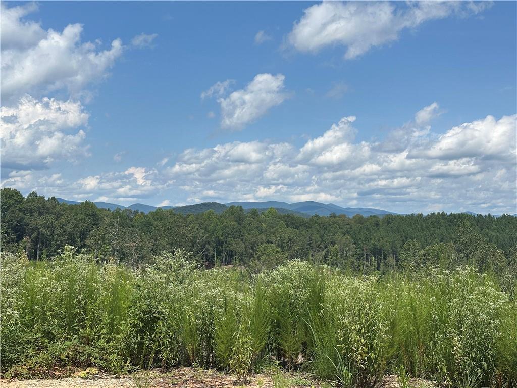 0 Larmon Forks Road Dahlonega GA 30533