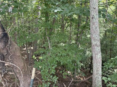 00 Calhoun Road Dahlonega GA 30533