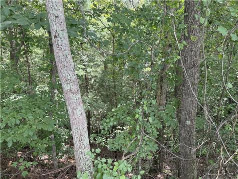 00 Calhoun Road Dahlonega GA 30533