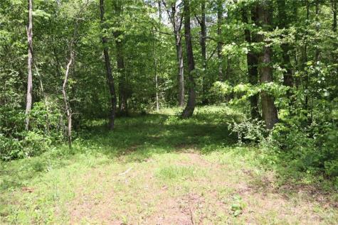 0 Parksbrook Road Ellijay GA 30540