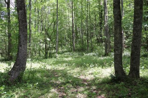 0 Parksbrook Road Ellijay GA 30540