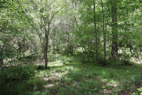 0 Parksbrook Road Ellijay GA 30540