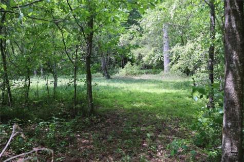 0 Parksbrook Road Ellijay GA 30540