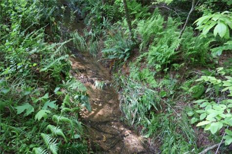 0 Parksbrook Road Ellijay GA 30540