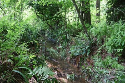 0 Parksbrook Road Ellijay GA 30540