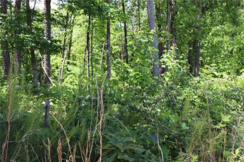 0 Parksbrook Road Ellijay GA 30540