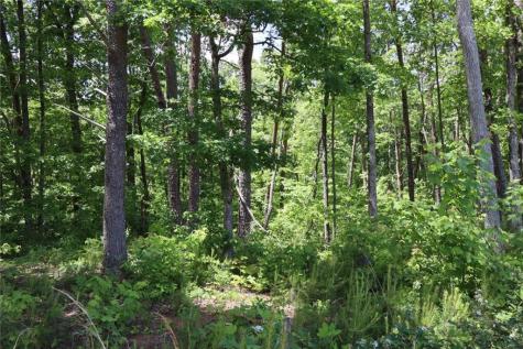 0 Parksbrook Road Ellijay GA 30540