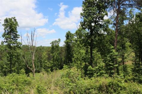 0 Parksbrook Road Ellijay GA 30540