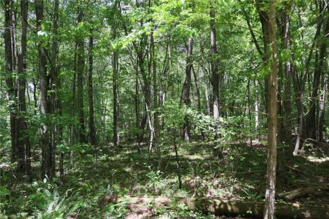 0 Parksbrook Road Ellijay GA 30540