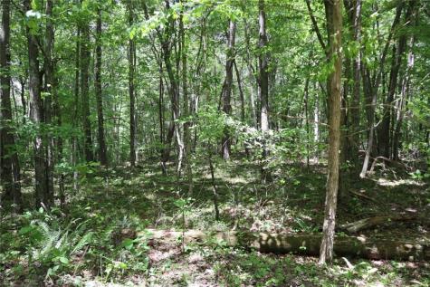 0 Parksbrook Road Ellijay GA 30540