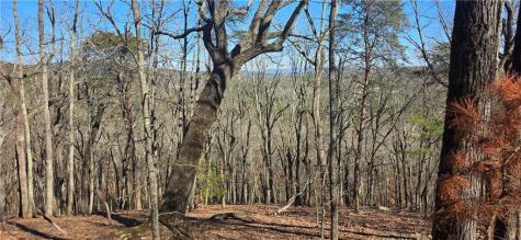 877 Lake Arrowhead Drive Waleska GA 30183