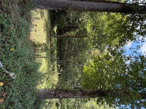 6.13AC Lucius Road Cherry Log GA 30522
