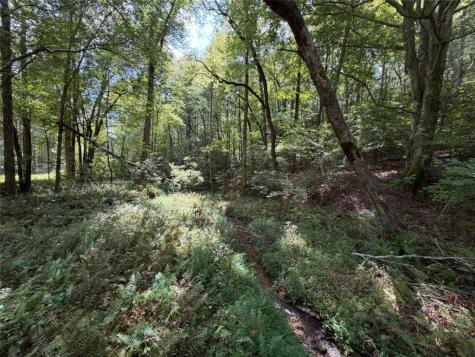 6.13AC Lucius Road Cherry Log GA 30522