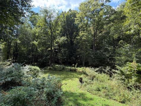 6.13AC Lucius Road Cherry Log GA 30522
