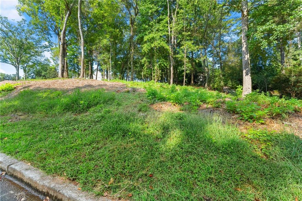 2020 Burgundy Drive Braselton GA 30517