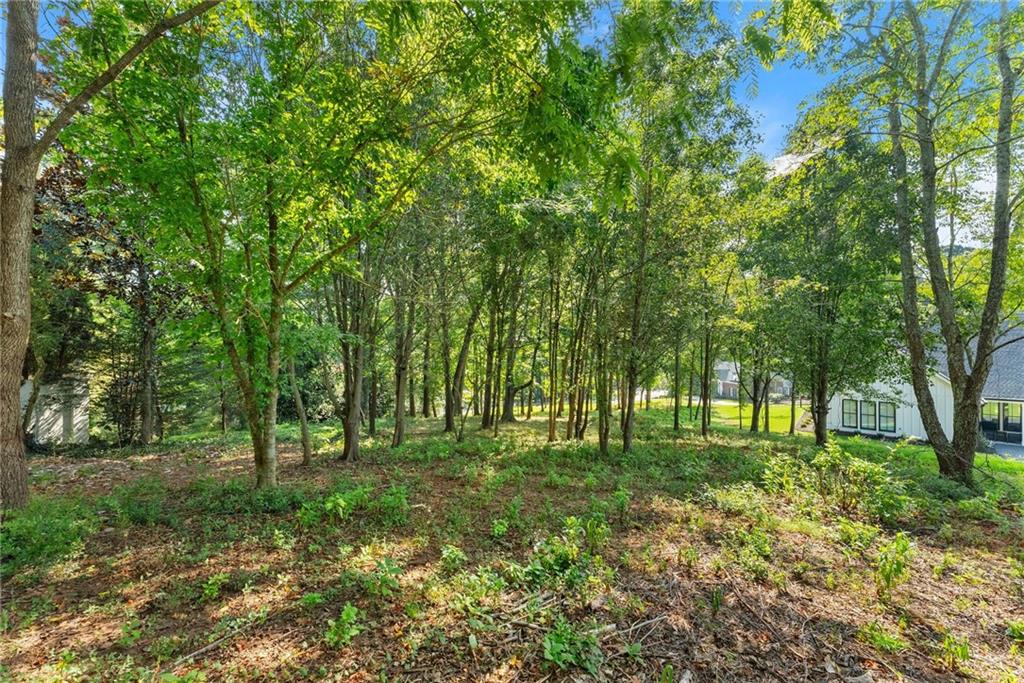 2020 Burgundy Drive Braselton GA 30517