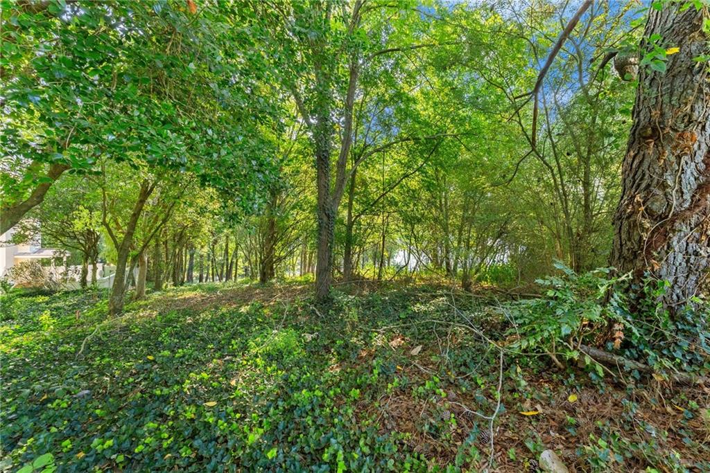 2020 Burgundy Drive Braselton GA 30517