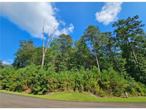 241 Carters View Lane Ellijay GA 30540