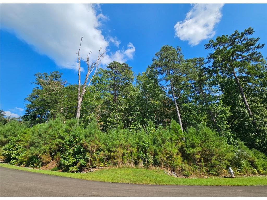 241 Carters View Lane Ellijay GA 30540