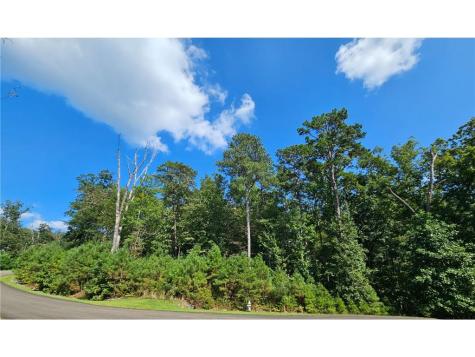 241 Carters View Lane Ellijay GA 30540