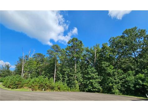 241 Carters View Lane Ellijay GA 30540
