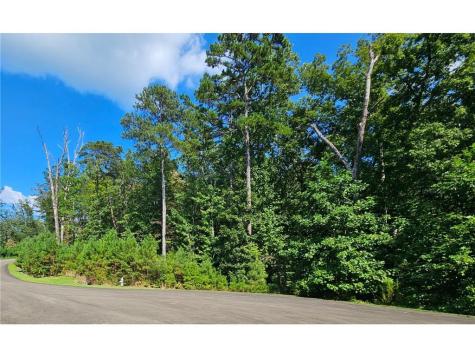 241 Carters View Lane Ellijay GA 30540