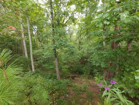 241 Carters View Lane Ellijay GA 30540