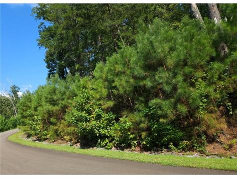 241 Carters View Lane Ellijay GA 30540