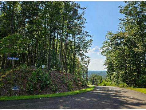 241 Carters View Lane Ellijay GA 30540
