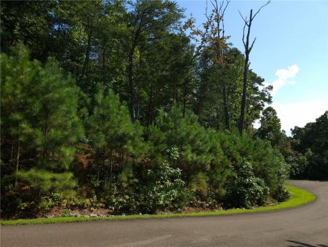 241 Carters View Lane Ellijay GA 30540
