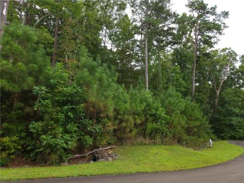 241 Carters View Lane Ellijay GA 30540