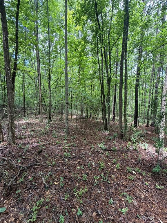 8915 Cedar Grove Road Fairburn GA 30213