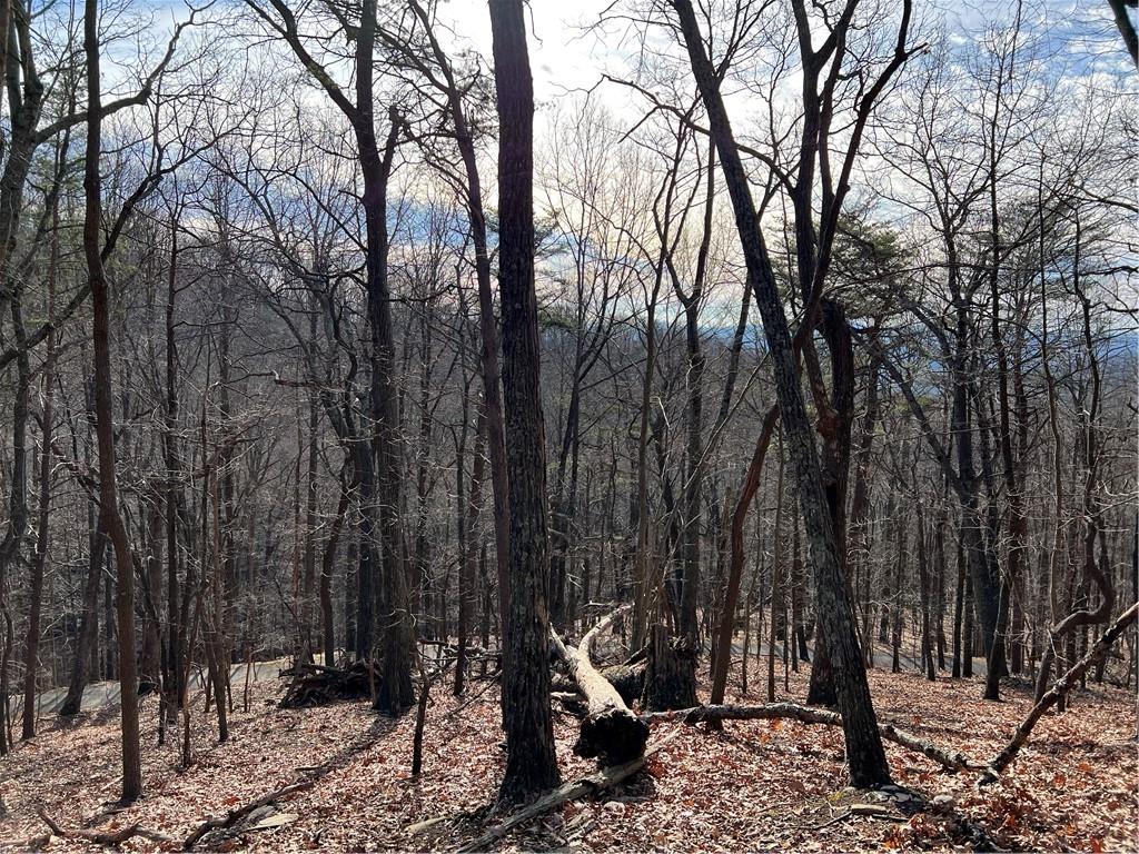 4528 Sassafras Mountain Trail Jasper GA 30143