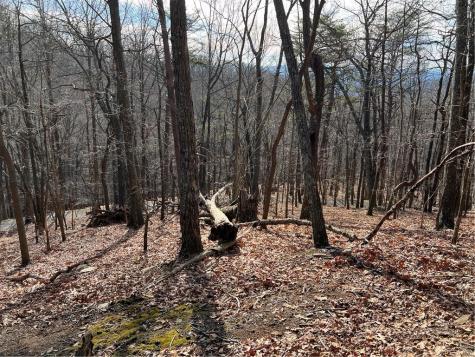 4528 Sassafras Mountain Trail Jasper GA 30143