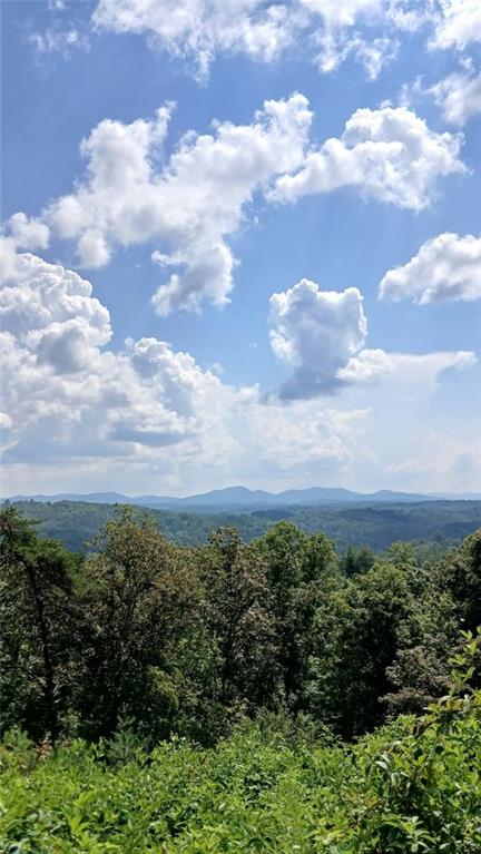 Lot 23 Mountain Laurel Ridge Mineral Bluff GA 30559