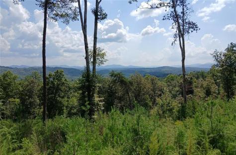 Lot 23 Mountain Laurel Ridge Mineral Bluff GA 30559