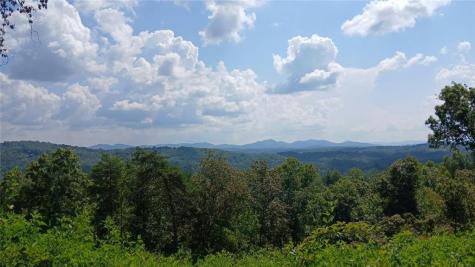 Lot 23 Mountain Laurel Ridge Mineral Bluff GA 30559