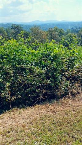 Lot 23 Mountain Laurel Ridge Mineral Bluff GA 30559
