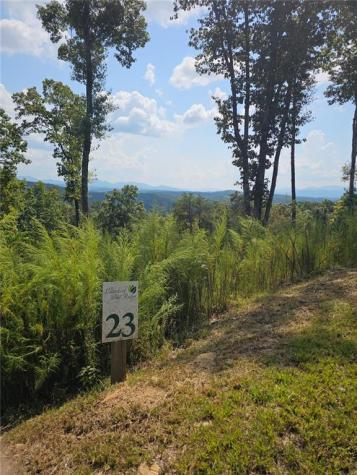 Lot 23 Mountain Laurel Ridge Mineral Bluff GA 30559