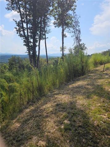 Lot 23 Mountain Laurel Ridge Mineral Bluff GA 30559