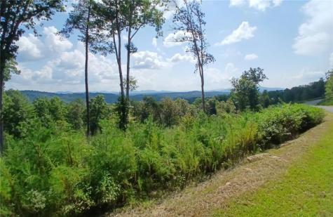 Lot 23 Mountain Laurel Ridge Mineral Bluff GA 30559