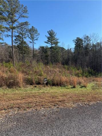 199 Oak Park Drive Talking Rock GA 30175