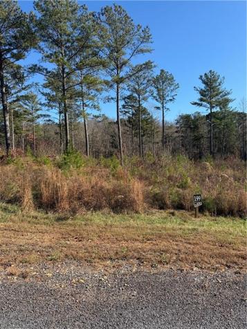 199 Oak Park Drive Talking Rock GA 30175