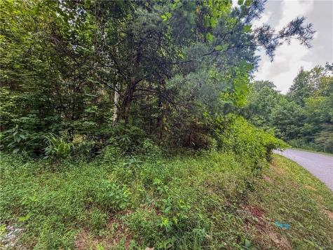 0 Highway 19 N Dahlonega GA 30533