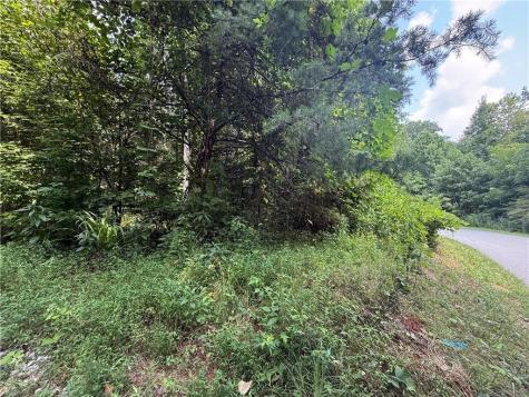 0 Highway 19 N Dahlonega GA 30533